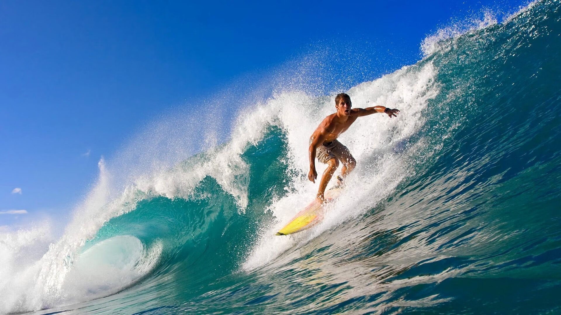 “荣耀瞬间：冠军的感人时刻”，荣耀历史冠军